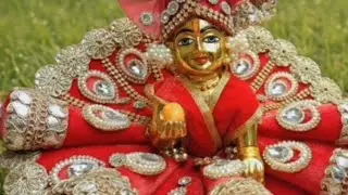 लड्डू गोपाल की सेवा🙏#ekadashi​ # उत्तरायण# उपचरणनुस्खे # संक्रांति2026​ #व्रत​ #त्यौहार​ #पूजाविधि​