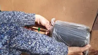 Unboxing japanese fire glow maple tree🥰🥰🥰