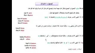 شرح الجمع: إضافة s و es والأسماء الشاذة بسهولة