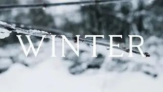 WINTER B-ROLL | CINEMATIC SHORT CLIP | FUJIFILM XT-3