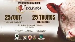 7º Shopping Dom Vitor - 25 Touros Hereford
