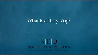 What is a Terry stop?