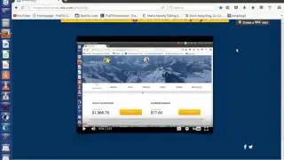 Amazing 5 scam. Trafficmonsoon scam