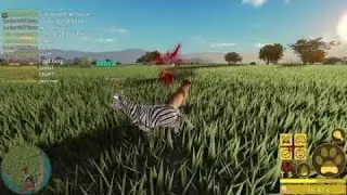 3 min of kosing zebra and buffalo as lioness in savannah life (roblox)