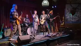Temple of the Stag  - 11 Aug 2025 -  14 -  Lump - The Presidents of the United States of America