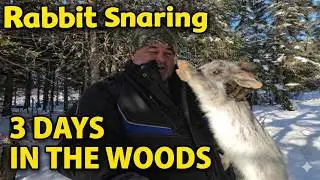 Rabbit Snaring in the Snow | 3 Days in the Woods