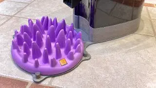 Combine PetSafe cat feeder with interactive slow feeder