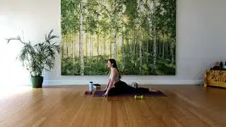 Bala Yoga Sculpt: Live Stream with Lauren