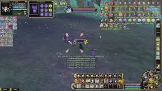 INSANITY FLYFF STREAM Game Play