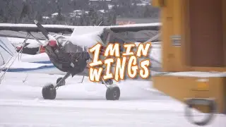 Thank Airport Maintenance -- 1 Minute Wings