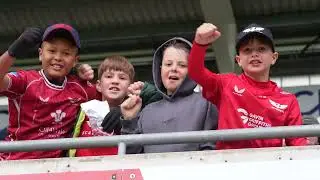 Match-day at Parc y Scarlets