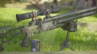 THE DAYSTATE BLACK WOLF ZERO