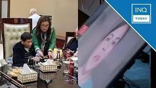 Sara Duterte decries &lsquo;warrantless arrest&rsquo; of father at Senate probe | INQToday