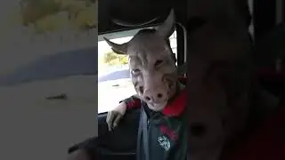 Psycho pig part 2