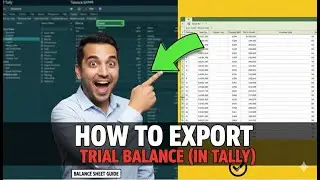 Trial Balance Data Export from Tally