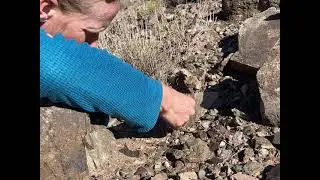 New Facebook Group: Bad Gold Prospecting Advice&hellip;. Join us for Silly