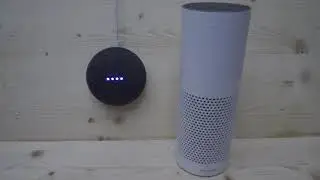 Google Home vs Amazon Alexa - Will you be my Girlfriend