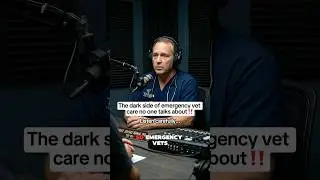 The dark side of emergency vet care no one talks about!! #dog #podcast #usa #doghealth #fyp #foryou