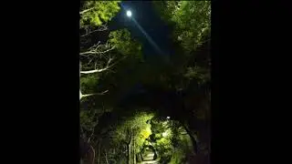 Only in dark the light