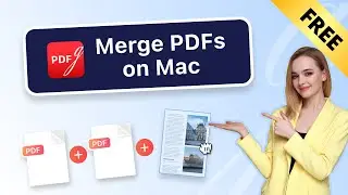 Как бесплатно объединить PDF-файлы в один | Объединение PDF-файлов