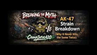 AK forty seven Isn’t One Strain Anymore Here’s Why