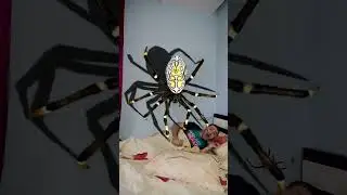 OMG Super Giant SPIDER 🕷️🕸️ in bed 🤪 #shorts by PIBABU