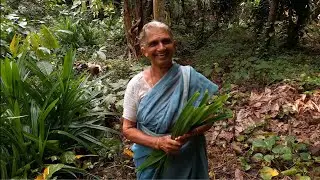 Pandan leaves Pulav. Village simple Breakfast.