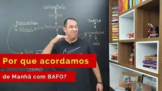 Por que acordo de Manhã com Bafo? (Ciclo de Krebs)