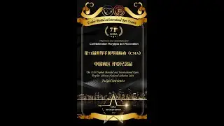 第71届世界手风琴锦标赛评委纪念品 Jury souvenir of the 71st World Accordion Championship