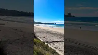 Surfers take La Jolla, San Diego, California #viral #travel #shorts #fyp #vlog #youtubeshorts #vlogs