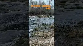 Big Shoals - Suwannee River