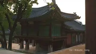 Golden Hour in Seoul: The Magic of Changdeokgung Palace 🇰🇷
