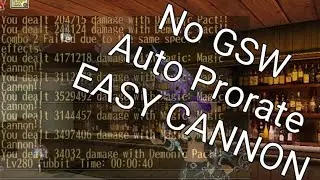 Class Build: Pirate Summoner (Necro-Mage) | Toram Online