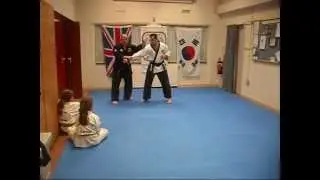 Cheongye Kwan Techniques