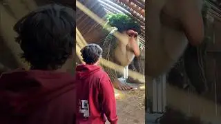 Второй День Из Жизни Фиксая на Ферме Брейнротов 😱 | Фиксай #shorts