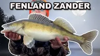 Лучшая приманка для судака? Приманка Paddle Tail Shad или Drop Shot Flukes?