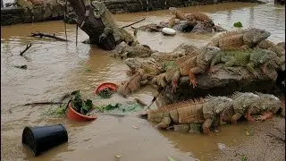 BANJIR PART2?!