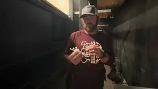 Behind the scenes: vaccinating fawns at the deer farm  🦌#deerfarm #whitetail 