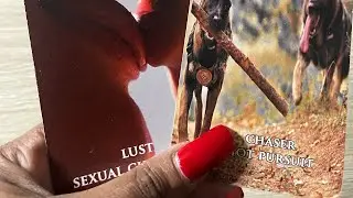 SAGITTARIUS LOVE READING BOTH OF YALL CAN'T GET ENOUGH