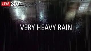 🔴 Heavy Rain and Thunder Sounds for Sleeping - Black Screen | Thunderstorm Sleep Sounds, Live Stream