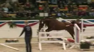 &hearts; Cassilio- jumping horse  by Cassini I