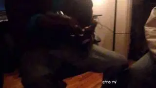 YUNG FLY ENT SITO TV CRASH ON THE HUDSON DVD 02