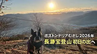 「2026年 長瀞宝登山　初日の出　ボストンテリア　むさしチャンネル がライブ配信中！」のコピー