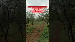 Best Gated Community Farmland Eden Garden sandalwood Srgroup shadnagar #farmlandforsale #farmland
