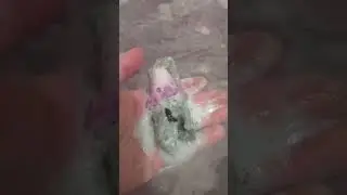 Spooky season bat bath bomb magic intention
