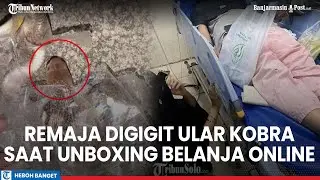 Kronologi Remaja Sukoharjo Digigit Kobra Saat Unboxing Belanja Online, Kemasan Paket Sudah Terbuka