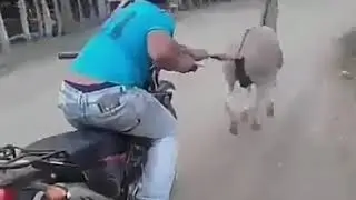 Eco-friendly Bike : back to basics again.