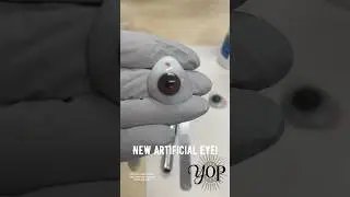 New #artificialeye !