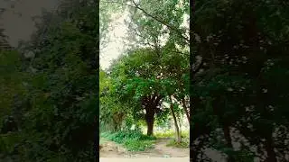 restart ka duniya garibonka dhaniya