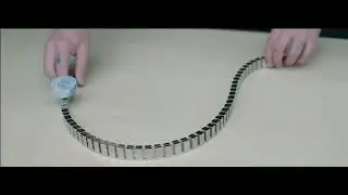 The Meissner Effect
